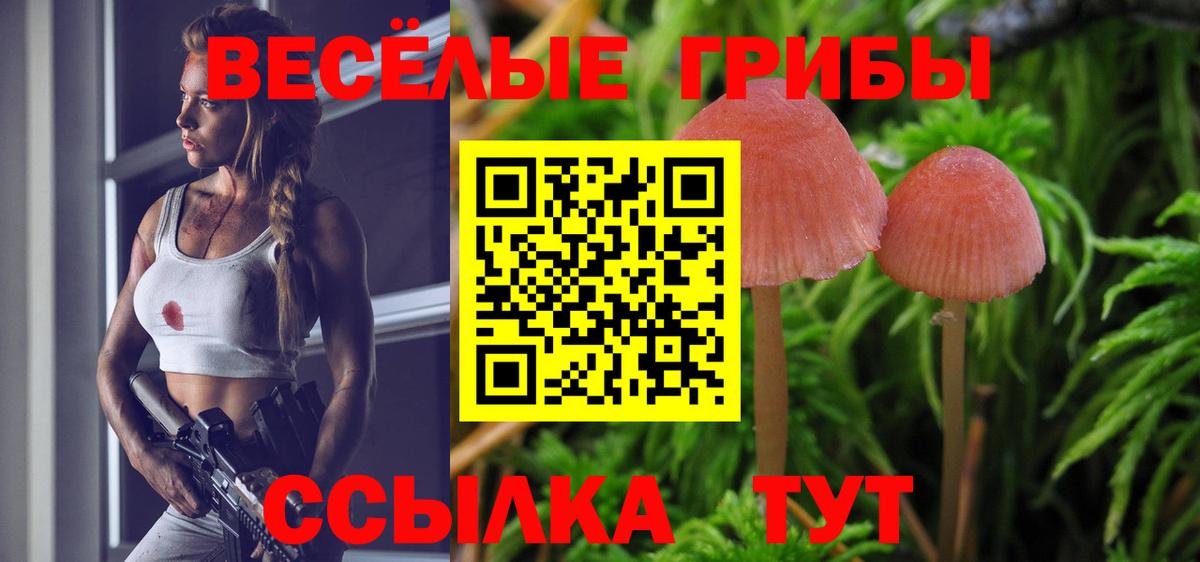 Новодвинск  Псилоцибиновые грибы Magic Shrooms  Вход с VPN 