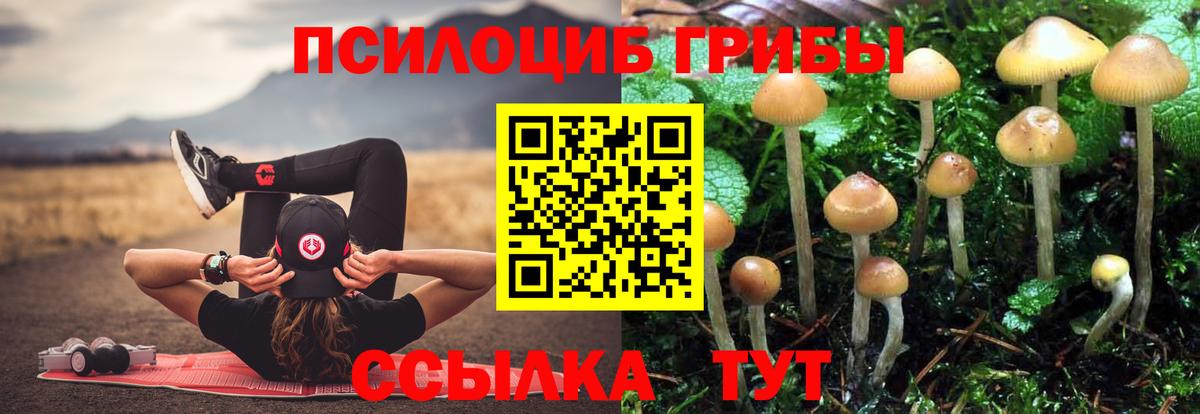 Галлюциногенные грибы ЛСД Новодвинск